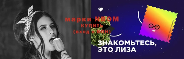 прущий лед Арсеньев