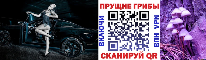 Псилоцибиновые грибы Magic Shrooms  Спасск-Дальний 